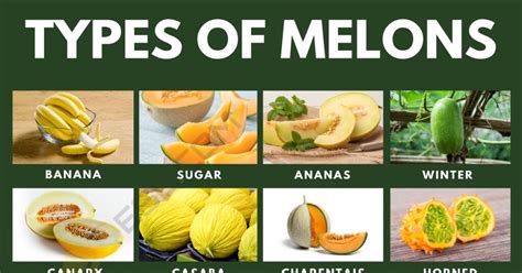 melonsyube|Categories